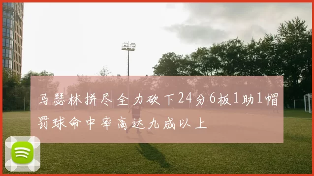 马瑟林拼尽全力砍下24分6板1助1帽罚球命中率高达九成以上