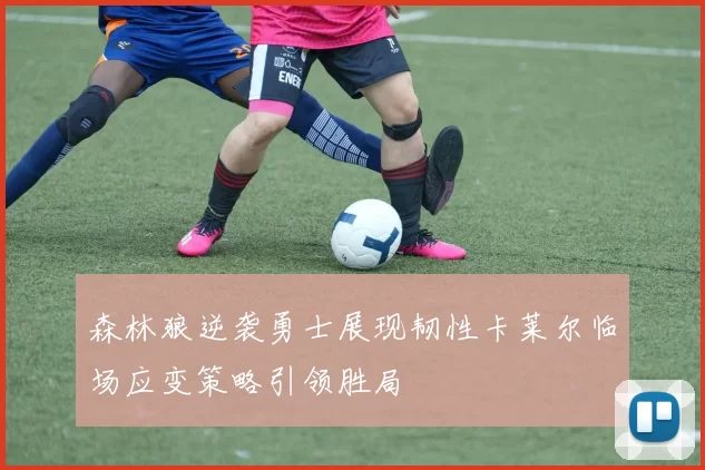 森林狼逆袭勇士展现韧性卡莱尔临场应变策略引领胜局